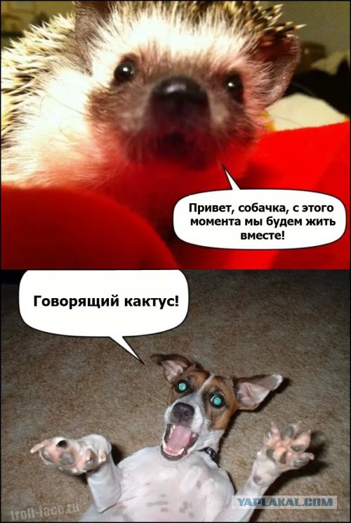 Просто Добропост