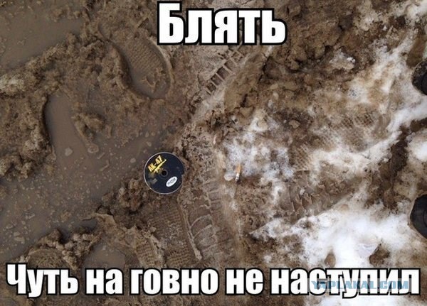 Смешные комментарии из социальных сетей.