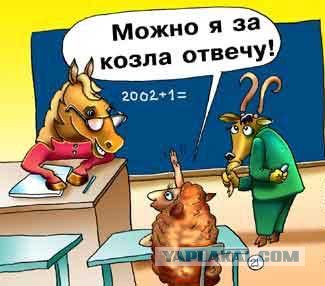 Прикольные картинки