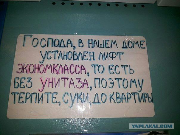 Смешные картинки