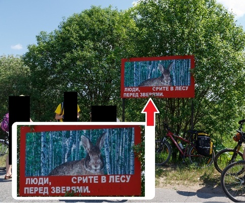 Картинки
