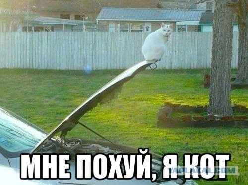 Немного позитива на пятницу.