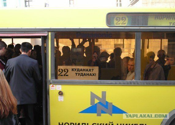 Картинки с утра.