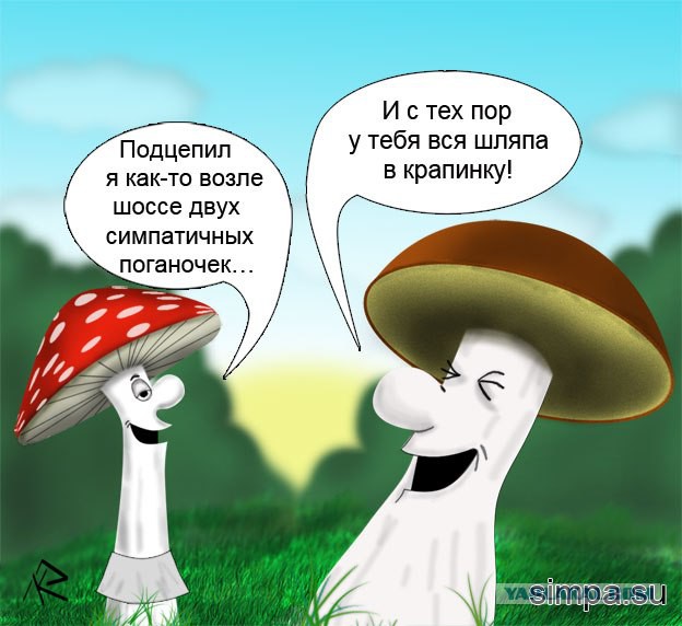 Немного позитива на пятницу