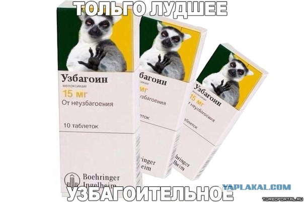 Да что вы знаете о бешенстве?