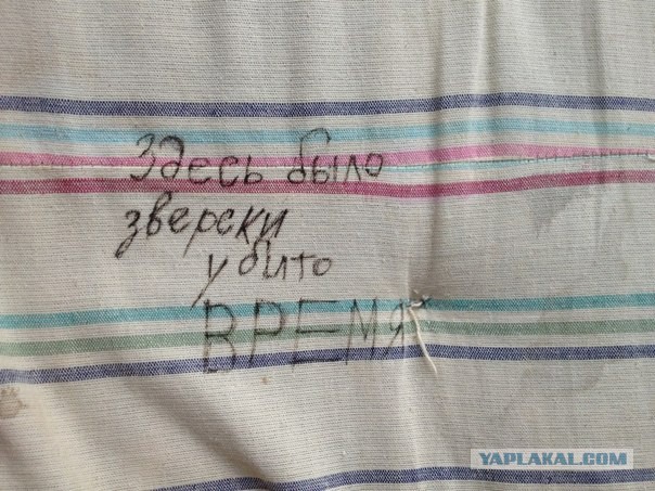 Веселые картинки, пятница.