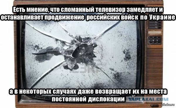 Шеф, все пропало!