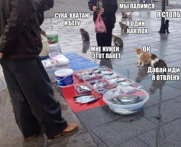 Весёлые картинки на субботу