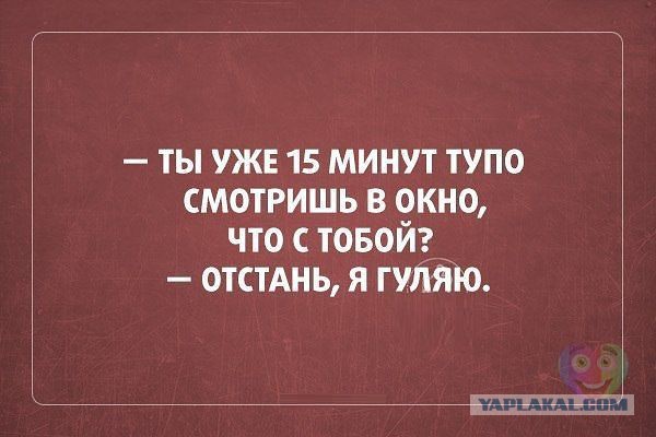 Весёлое из сети