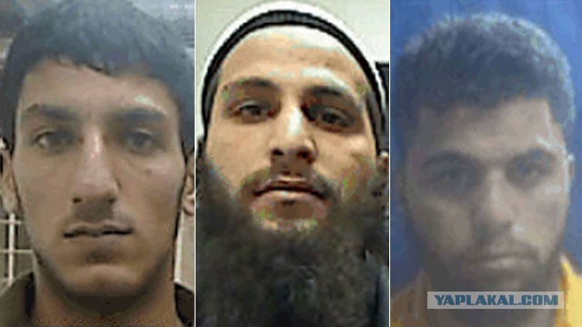 "Плюшевый мишка"