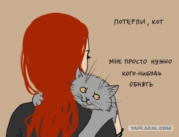 Сказ о том, как я уголок для котов строил