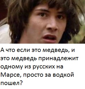 Ровер НАСА снял на Марсе животное