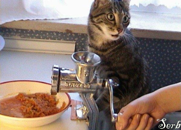 Мля, и это всё мне?