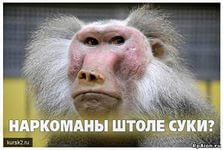 Джон Керри привез Владимиру Путину