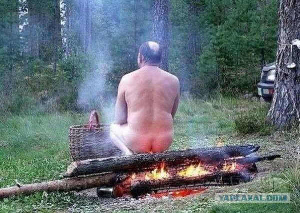 Привет из соцсетей