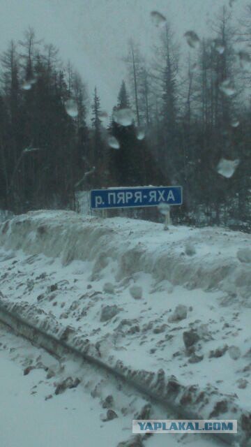 Информационные знаки на дорогах Ямала