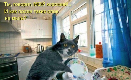 Когда кто-то плюсует твой заминусованый пост