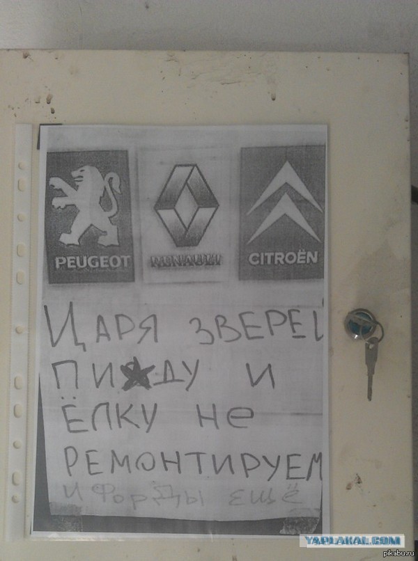 Крик души.