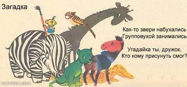 После корпоратива 8 марта!