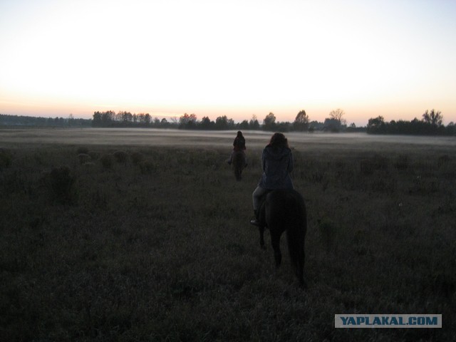 Была бы прочна палатка, да был бы не скучен путь!