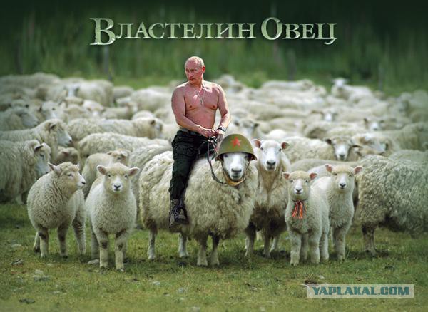 Похоже страну окончательно прос...