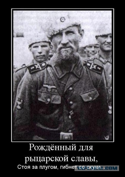 Очередной беспредел выходцев с Кавказа. СМИ молчат