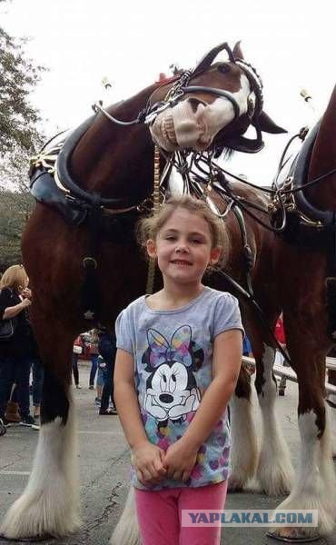 Подборка интересных и веселых картинок