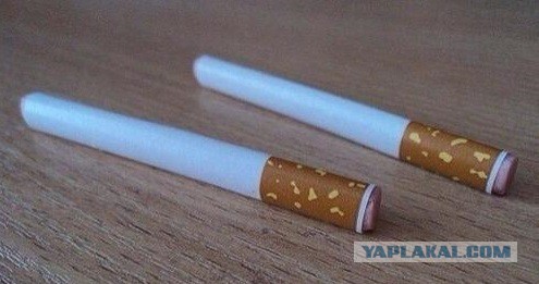 Рыба-пенал и ещё 17 обманчивых подарков, которые помогут разыграть ваших друзей