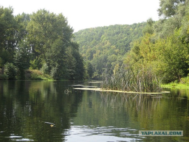 Сплав по реке Оскол