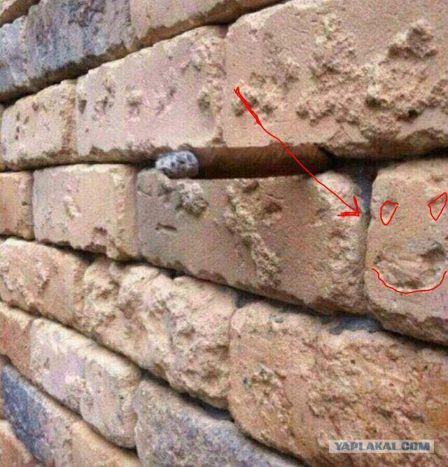 Найдите лишний предмет на фото