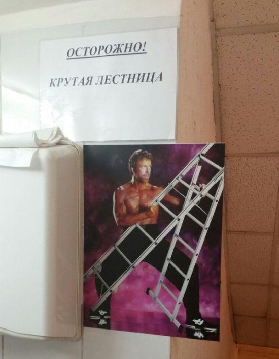 Интересные и веселые картинки