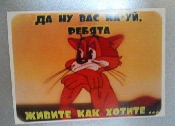 Комментарии и картинки из соцсетей