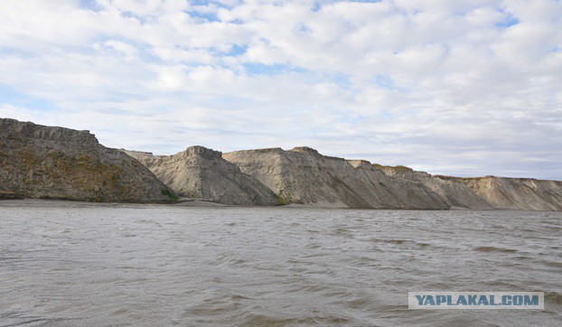 В гостях у загадочной ямальской тундры