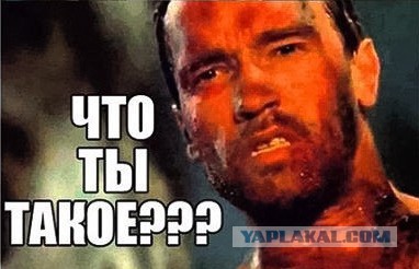 Что за зверь? Уже бояться или как?