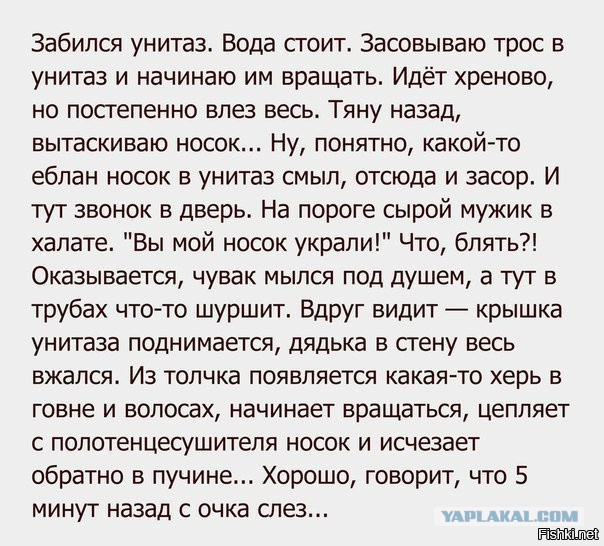 Воскресная порция перлов