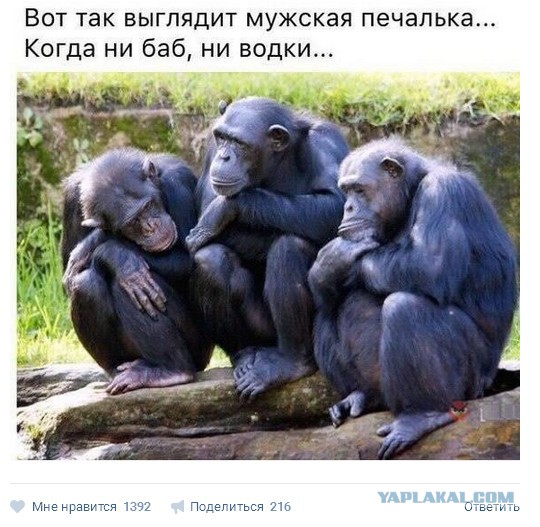 Лёгкой наркомании и тупости пост