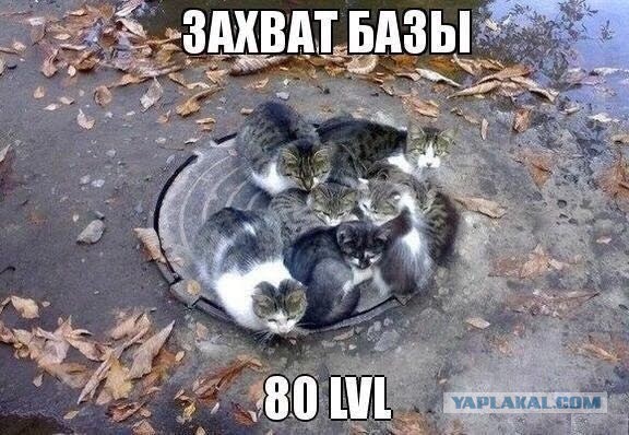 Wargaming 38