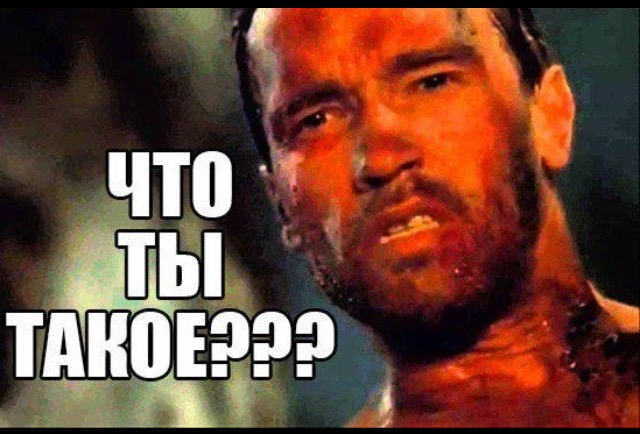 Совет да любовь