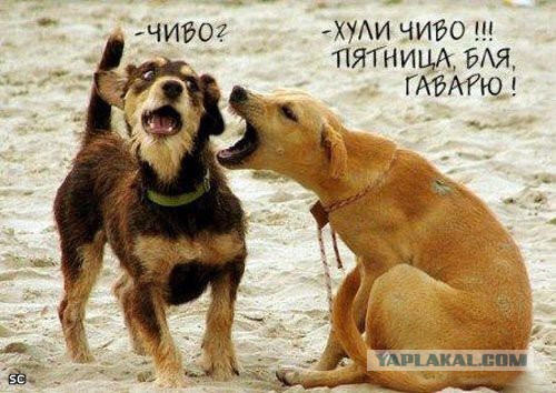 Пятница господа!