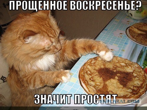 Когда преступление налицо. Ну и на лице...