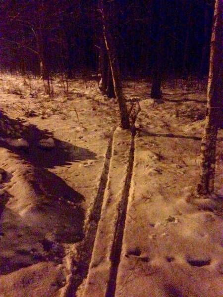 Веселые картинки...