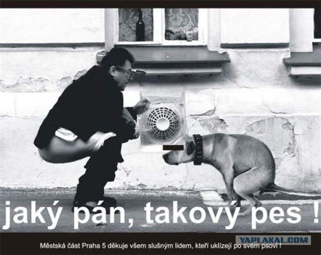 Пришла весна...