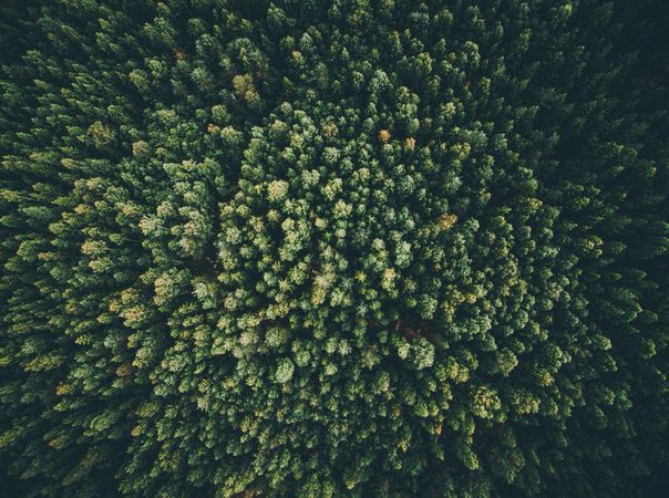 Фото интересные и не только