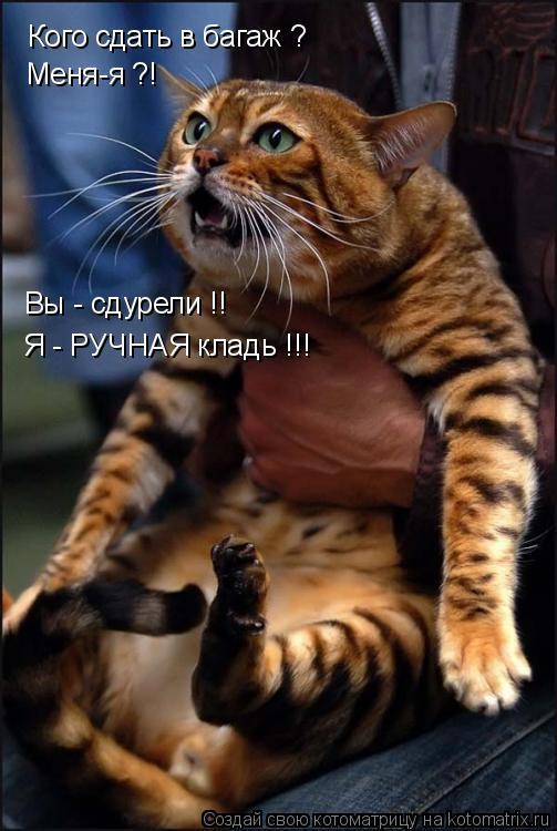 Подборка забавных животных