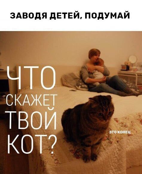 Приколы в стиле "регресс"