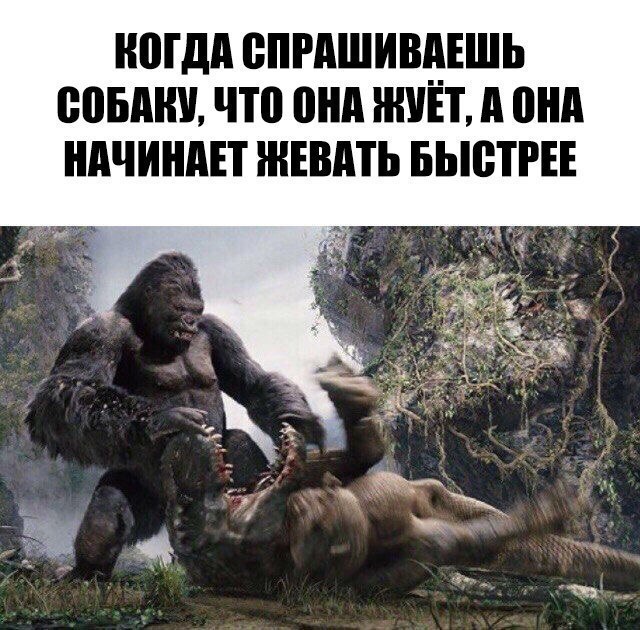 Нестандартный юмор