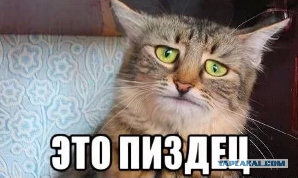 Аппетит однако