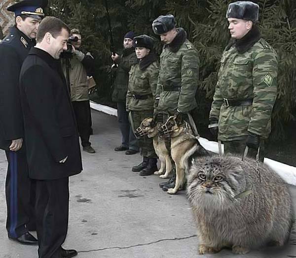 Опуститесь пониже - мне плохо видно!