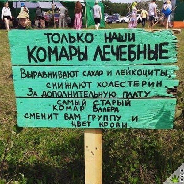 Прикольные надписи и объявления