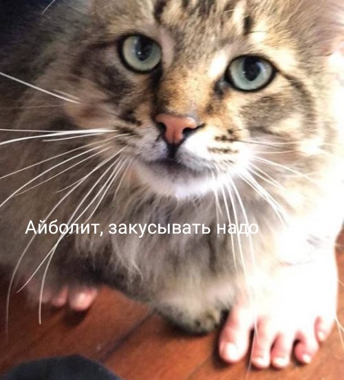 Нестандартный юмор